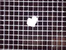 un fiocco di neve con la forma perfetta di un cuore