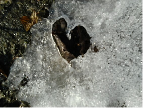 un cuore nel ghiaccio 