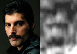 freddy mercury comparazione