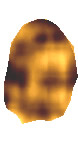 settima