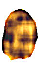settima