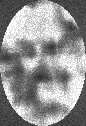 FIGURA MASCHILE
