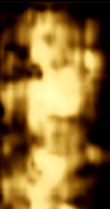 bimba codini